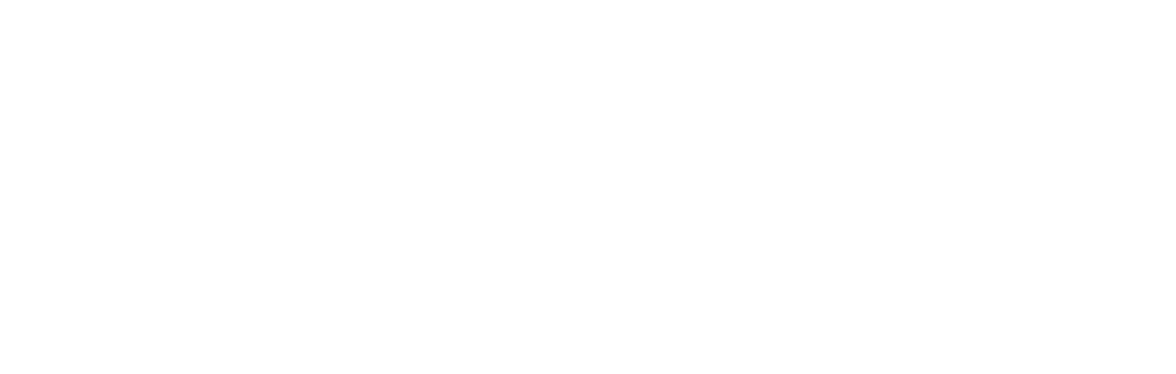 Novax Logo